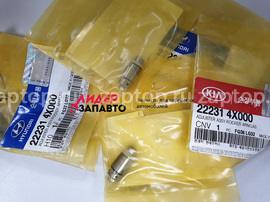 22231-4X000 Гидрокомпенсатор Hyundai Terracan